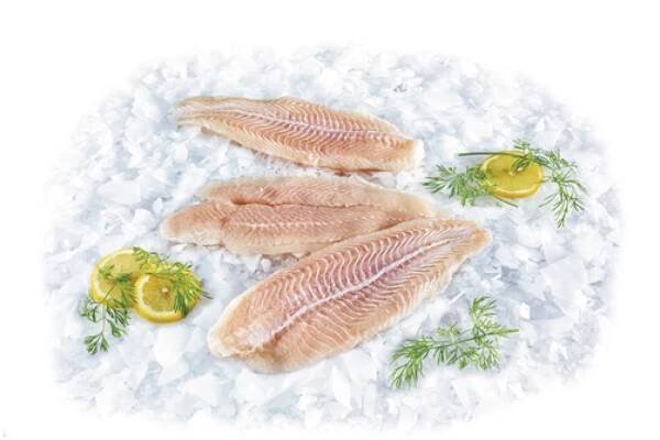 Pangasius filety v akci levně | Kupi.cz