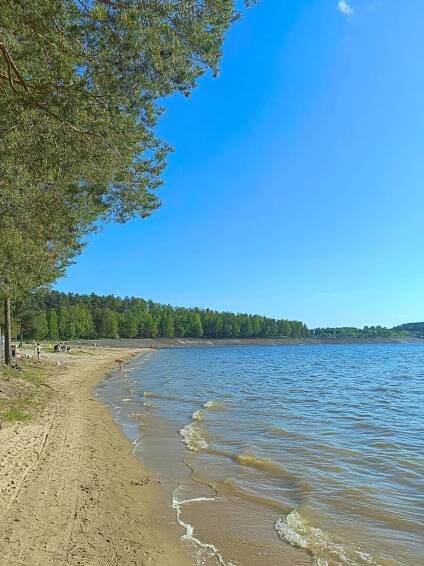 Winnica - Świętokrzyskie - Winnica Avra