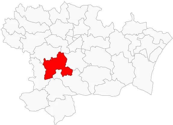 Kanton Limoux