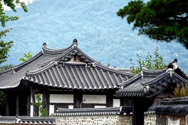 Iconic Korean roofs at the Gyeongju Gyochon Traditional Village.