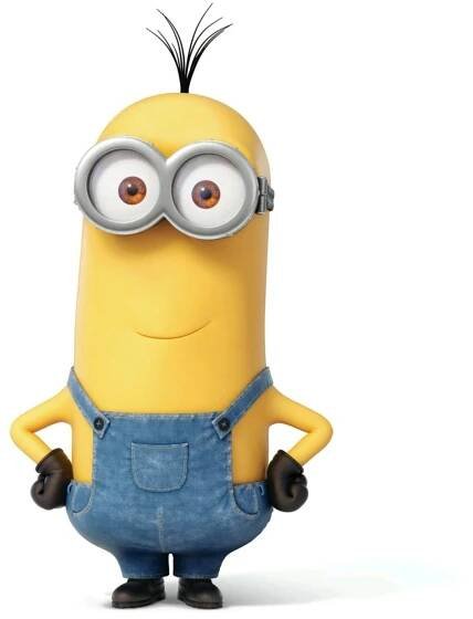 edro bachatero | Minions liebe, Minions, Buchkunst