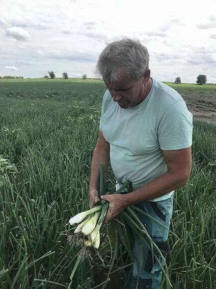 Ladislav Kašpar z Vojnic, místní část Těšetic, pěstuje zeleninu, kterou lidem nabídne k samosběru - za pár korun.