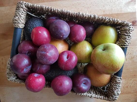 apples plums