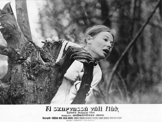 Synové ohně - Fotosky - Mari Törőcsik