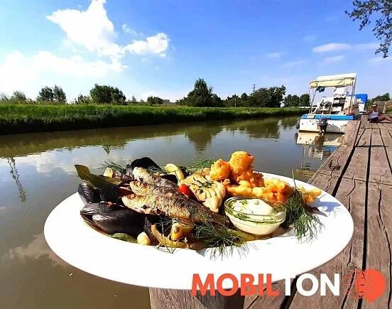 Restaurace Přístav - Staré Město-Uherské Hradiště 1 - restaurace v staré město-uherské hradiště 1