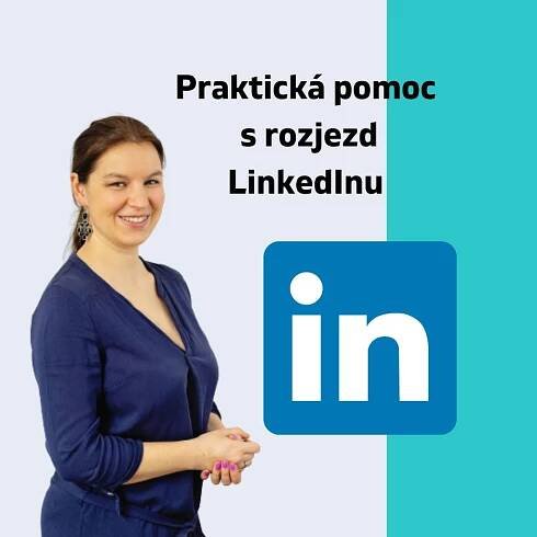 konzultace LinkedIn