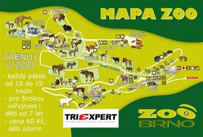 Trénuj v ZOO Brno | TRIEXPERT