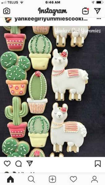 Pin by Debbie Cloutier on Animals | Baby shower cookies, Baby shower food, Creative cookies