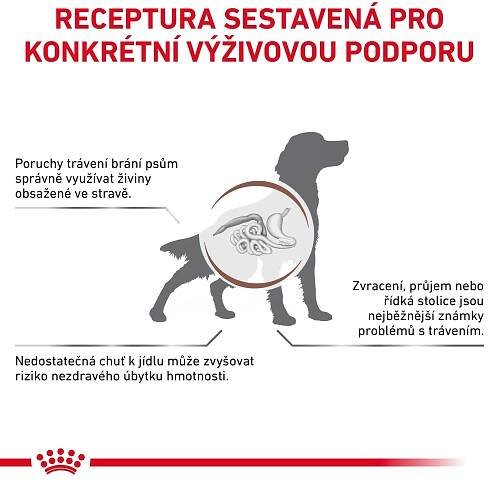 Royal Canin VHN DOG GASTROINTESTINAL LOW FAT 12 KG