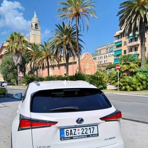 Lexus NX300h_12
