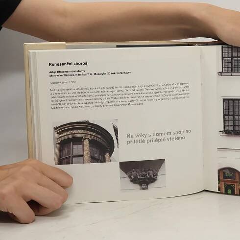 Drobné perly české architektury: Veletucet typologických příkladů - Jiří T. Kotalík, David Vávra, Pavel Frič, Yvonna Fričová