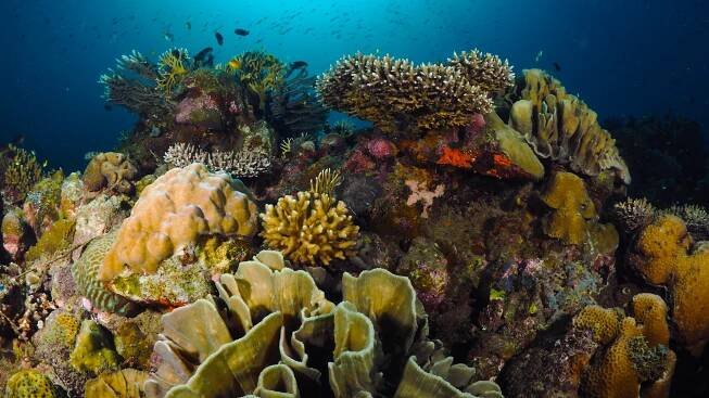 oceana