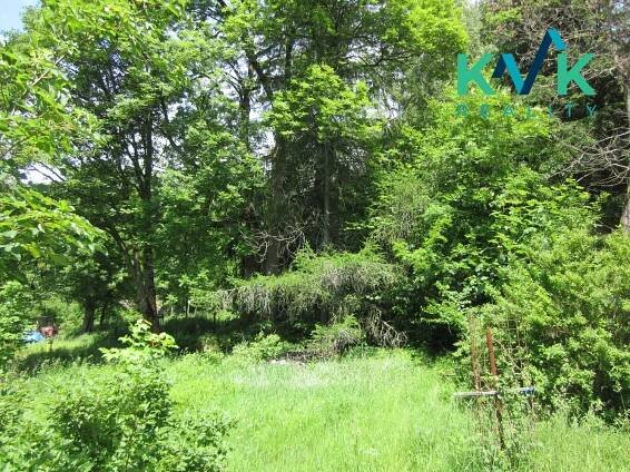 Prodej pozemku o velikosti 3 489 m2, v OV, Tisová u Nejdku | Reality.iDNES.cz 