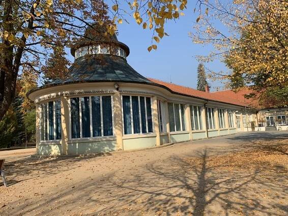 Obrázek na pozadí záhlaví