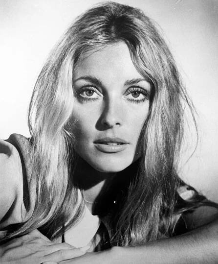 Sharon Tate: Krutá smrt hollywoodské hvězdy