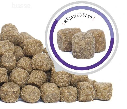 Husse Senior Mini 7 kg | Kompletné granule pre staršie psy malých plemien