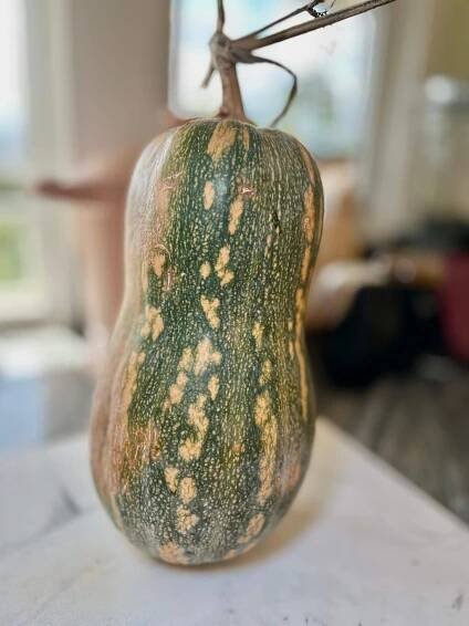 Easy Roasted Butternut Squash with Buckwheat & Pineapple Guava Salad