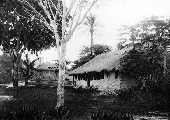 History Guild Quizzes - History Guild