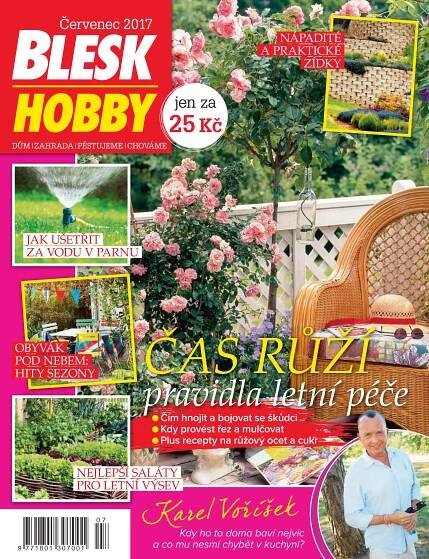 Časopis Blesk Hobby - 7/2017