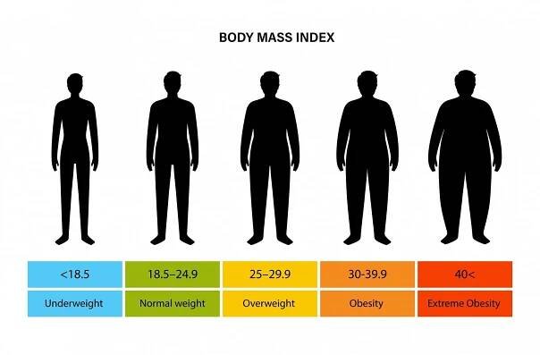 Klasická škála hodnocení tělesné hmotnosti podle BMI: podváha, normální váha, nadváha, obezita a extrémní obezita.