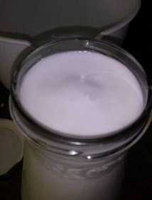 Makadamové mléko - Recepty na hubnutí