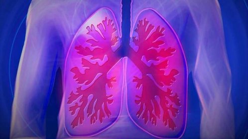 Plzeňští plicní lékaři odhalili v kraji 33 nemocných