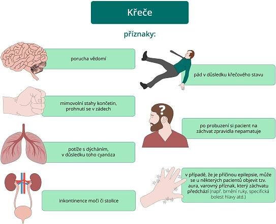 Příznaky křečí