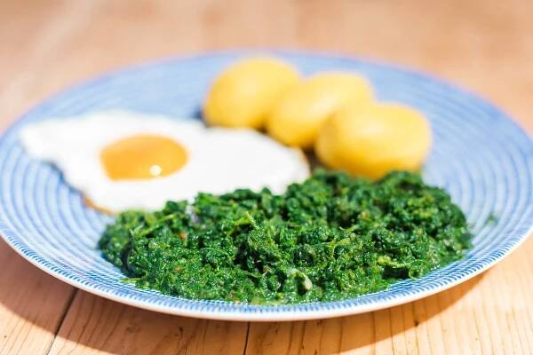 Stinging Nettle Spinach – Recipe | Gone71°N