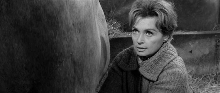 Hrom do toho! - Z filmu - Lilli Palmer