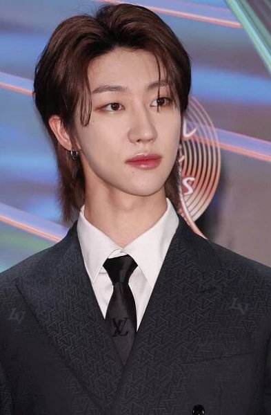 SEVENTEEN and BSS at the 38th Golden Disc Awards | Celeb Confirmed