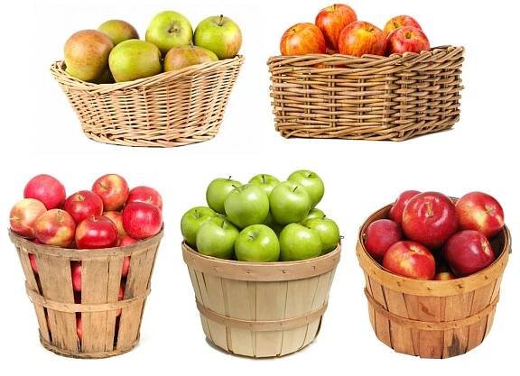 5-in-1 Apple Tree