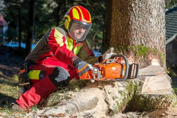 The Best Chainsaw Chaps Or Chainsaw Proof Pants