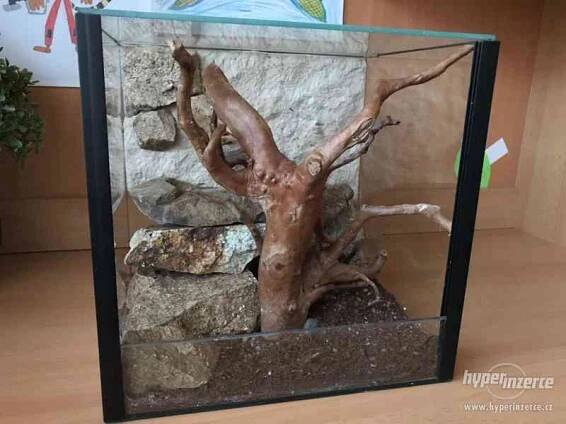 Prodám hezké terárium s výbavou - bazar - Hyperinzerce.cz