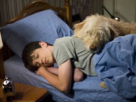 Diary of a Wimpy Kid: Dog Days