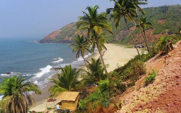 Arambol Beach / Goa / India