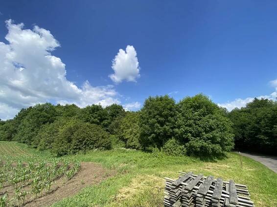 Prodej Pozemek, Miřetice - Švihov, okres Chrudim