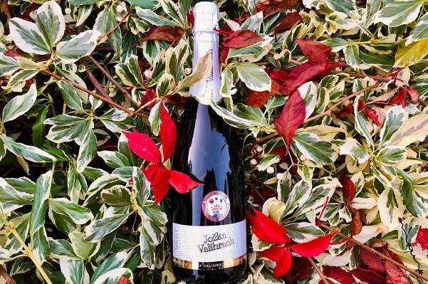 Recenze – 4. stránka – Moravský sekt