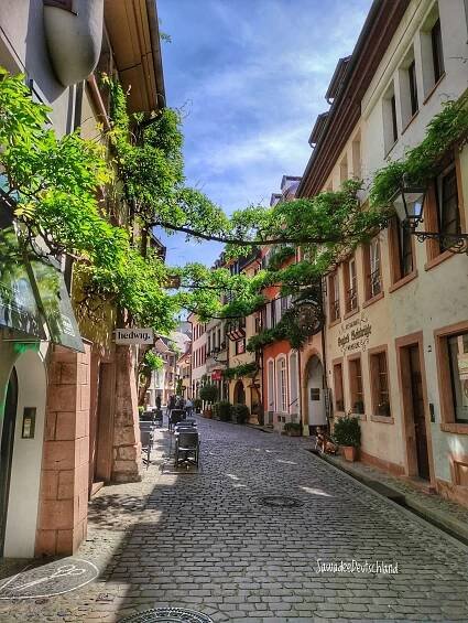เที่ยว Freiburg im Breisgau เมืองมหาวิทยาลัยในป่าดำ - SawadeeDeutschland