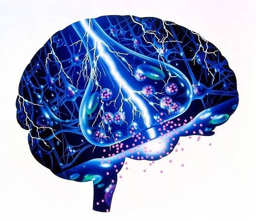 Když se mozek vzbouří: co se děje při epilepsii