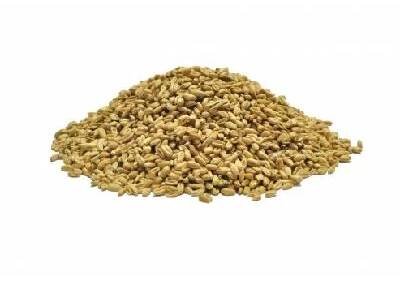 PŠENICE krmná 25kg