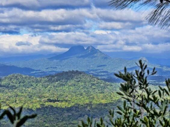 Hora Victoria Peak, Belize