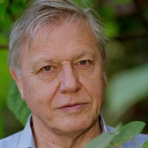 David Attenborough