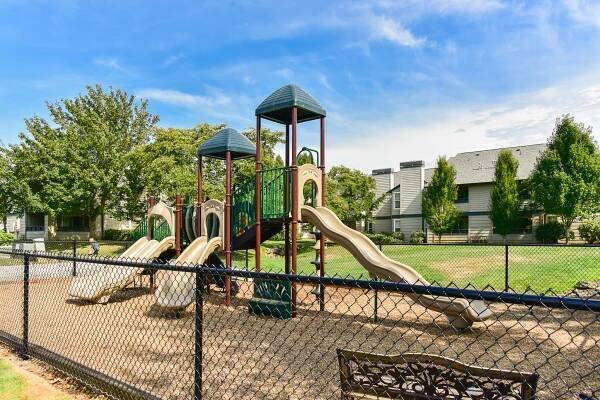 Gallery & Blog - Park Crest Commons