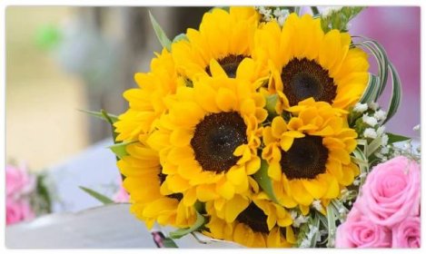 Obraz svatební kytice ze slunečnic (V020261V12070)
