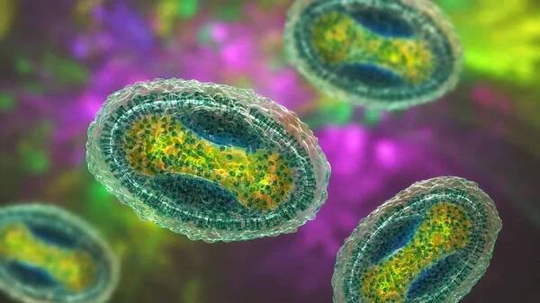 Molluscum contagiosum virus, 3D ilustrace. Virus z rodiny Poxvirus, způsobuje kožní infekci s mnoha malými zvýšenými lézemi — Stock obrázek