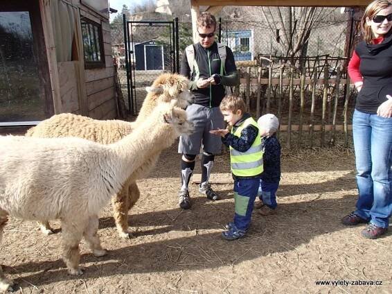 Lamacentrum Hády - lamí farma | Farmy, ZOO, jízdy na koních