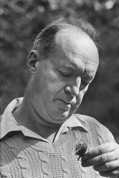 Vladimir Nabokov and His Butterflies: Portrait of a Lepidopterist