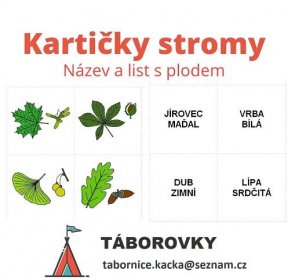 Kartičky stromy - název a list s plodem - Přírodověda | UčiteléUčitelům.cz