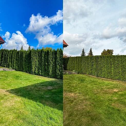 Stříhání živého plotu Praha a okolí | PVJ GROUP