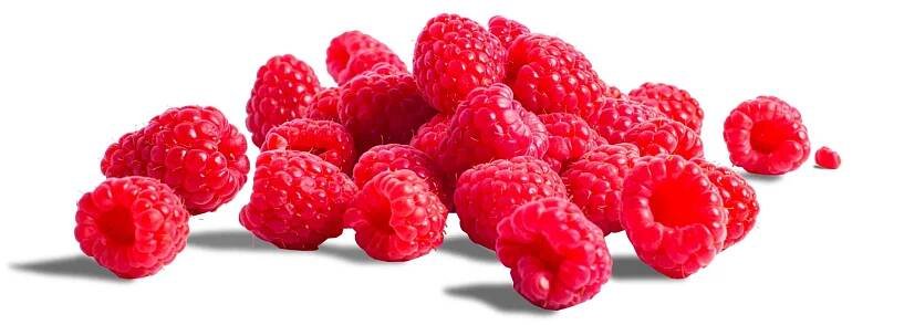 raspberry